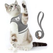 Bild für MAVURAPets Katzengeschirr Welpengeschirr Katzengarnitur Brustgeschirr Katzenweste verstellbar große kleine Katze ausbruchsicher Geschirr mit Leine Hundegeschirr kleine Hunde Katzen reflektierend (L)