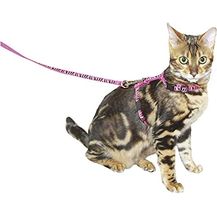 Bild für Kerbl 82668 Katzengeschirr mit Leine 120 cm x 10 mm