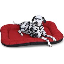 Bild für Knuffelwuff Hundebett Lucky In und Outdoor Hundekissen Hundesofa Hundekörbchen Hundekorb