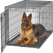 MidWest Homes for Pets Life Stages LS-1648 Faltbare Hundebox mit Einer Tür, für XL (41,3-50 kg)