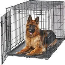 Bild für MidWest Homes for Pets Life Stages LS-1648 Faltbare Hundebox mit Einer Tür, für XL (41,3-50 kg)