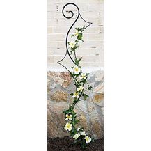 Bild für DanDiBo Rankhilfe Metall Schwarz Riva Rankgitter Höhe 148 cm Breite 30 cm Kletterhilfe Bodenstecker Stecker Garten