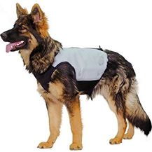 Bild für cani.cool Kühlweste Hunde