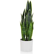 Bild für hjh OFFICE Kunstpflanze SANSEVIERIA mit Übertopf Höhe 65 cm Zimmerpflanze Bogenhanf künstlich