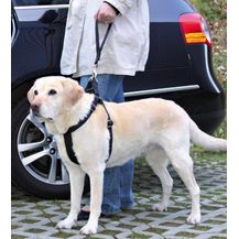 Bild für Trixie Universeller Ersatzkurzführer 27 cm 45 mm