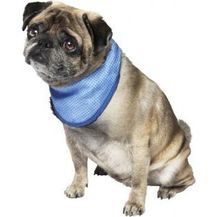 Bild für Nobby Kühl-Halstuch für Hunde S: 18-30 cm