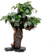 Mbuna groß mit Anubias nana Dennerle Aquariumpflanze