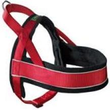 Bild für Hunter Norweger-Geschirr Racing rot-schwarz S