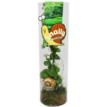 Bild für EXOTENHERZ Snaily