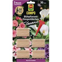 Bild für Compo Düngestäbchen Compo 12063 Duengestab Karte Cdbl