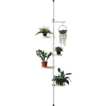 Bild für Teleskop Blumenregal Pflanztreppe Blumentreppe Pflanzenregal Regal en.casa