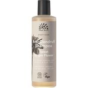 Sweet Ginger Flower - Start Over, Antischuppenshampoo 250 ml