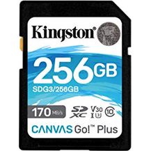 Bild für Kingston SDG3-256GB SD Speicherkarte (256GB SDXC Canvas Go Plus 170R C10 UHS-I U3 V30 )