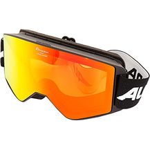 Bild für Alpina Nakiska Hm Skibrille