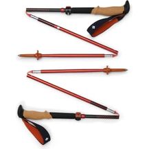 Bild für Black Diamond BlaDia Pursuit FLZ Trekking Poles S/M RD