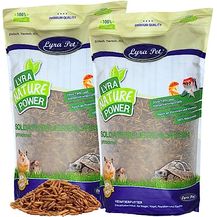 Bild für Lyra Pet® Soldatenfliegenlarven 10 kg