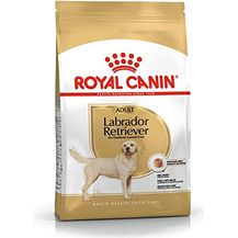 Bild für Royal Canin Labrador Retriever 12 kg