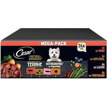 Bild für Cesar Natural Goodness Premium Hunde Nassfutter in der Schale