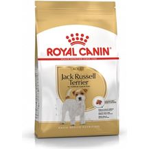 Bild für Royal Canin Jack Russel Adult
