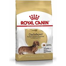 Bild für Royal Canin Dachshund 28 Adult Hundefutter
