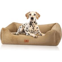 Bild für Knuffelwuff Schnuffelupagus