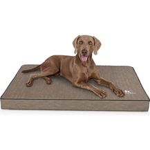 Bild für Knuffelwuff orthopädische Hundematte Palomino