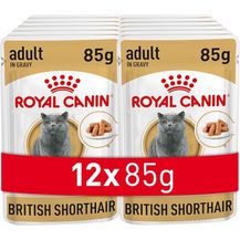 Bild für Royal Canin Adult British Shorthair Nassfutter