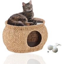 Bild für Rohrschneider Katzenhöhle Wasserhyazinthe