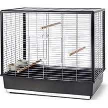 Bild für Savic Noah Knock Down