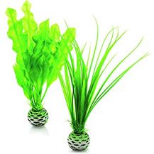 Bild für biOrb 46055 Pflanzen Set grün S